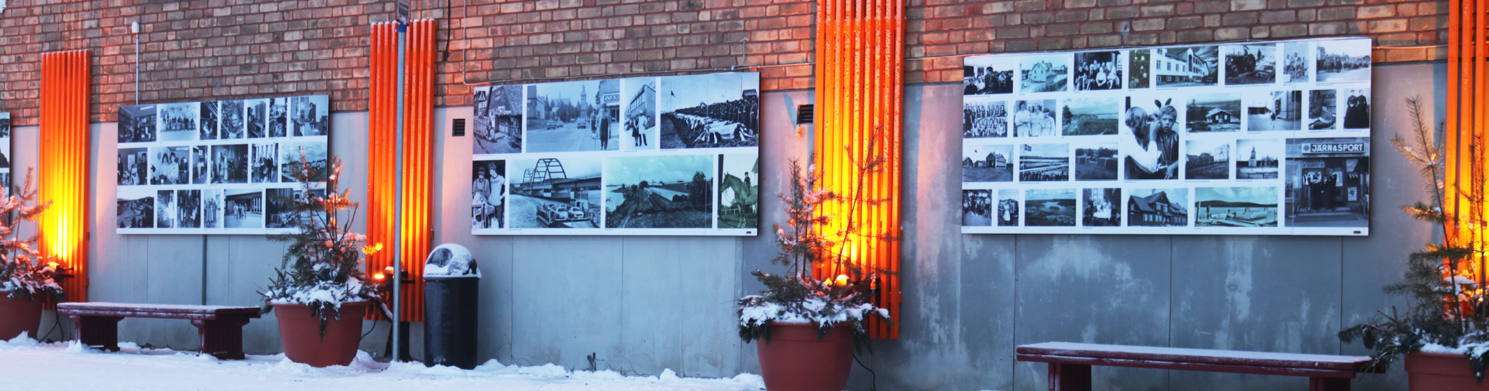 headerbild hemsida fotovagg