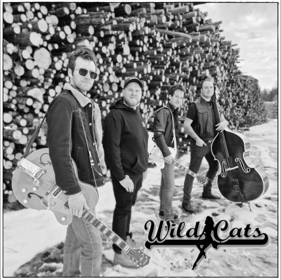 Wild Cats pressbild