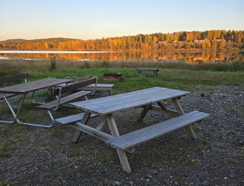 Särkijärvi ekopark
